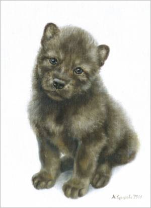 «Серый волк зубами щёлк», 2011 г., холст на оргалите, масло, 35х25