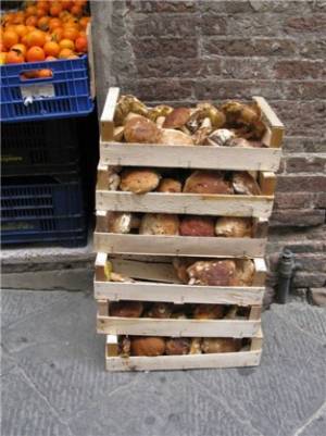 _2010_19_20110209_1564089770_original