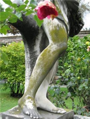 _2010_24_20110209_1063982489_original