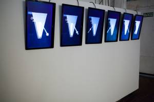 С.Шутов Сапсан-Ласточка