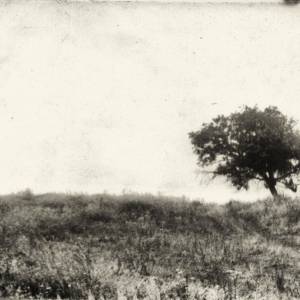 __20180327_1856073701_original_original