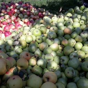 20191006_095332_20191014_1224029142_original_original