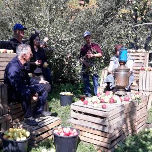 20191006_100253_20191014_2002552584_original_original