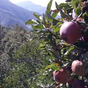 20191006_103602_20191014_1832898942_original_original