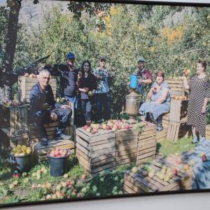 img_0345_20191205_1253212615_original_original