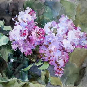 dsc_0117_20200312_1666845703_original_original