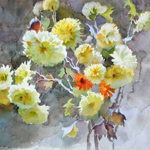 dsc_0122_20200312_1813668378_original_original