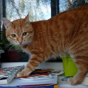 __20200521_2070287836_original_original