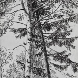 img_0734_20220420_1815855757_original_original