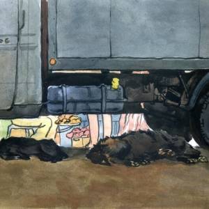 g67dpl2iw78_20221018_1921426851_original_original