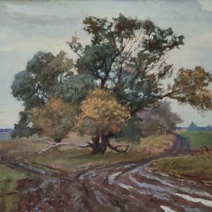 img_20200810_103503_20221125_1700247564_original_original