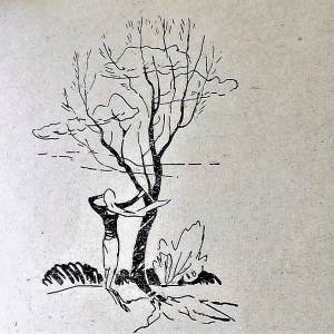 илл.1. Э.И. Левандовская. ЩоджэнцIыкIу Iэдем. Софят и гъатхэ. Нальчик, 1962